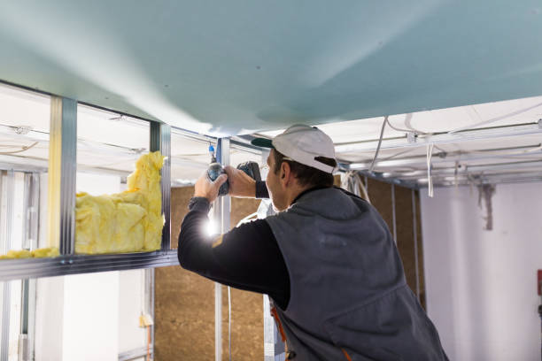 Best Specialty Insulation in Lecanto, FL