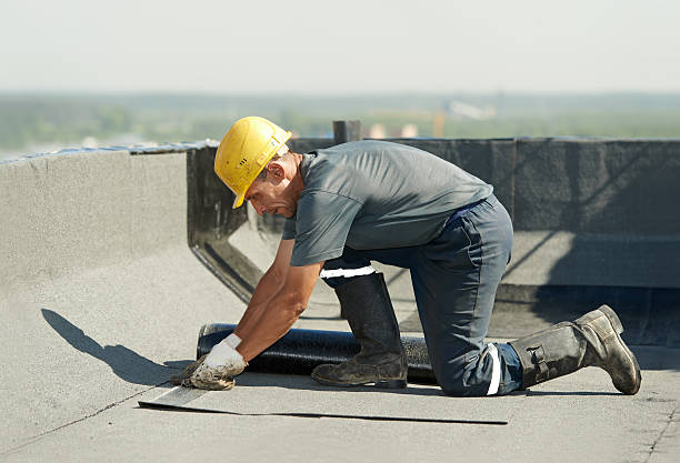 Best Commercial Insulation in Lecanto, FL